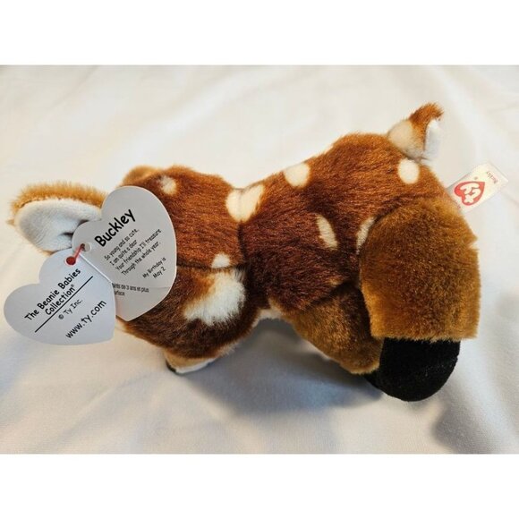 Ty Beanie Babies Buckley Plush Velvety Fawn Deer Glitter Eyes Stuffed Animal Tag - Picture 4 of 7